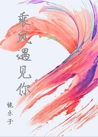 乘风去见你